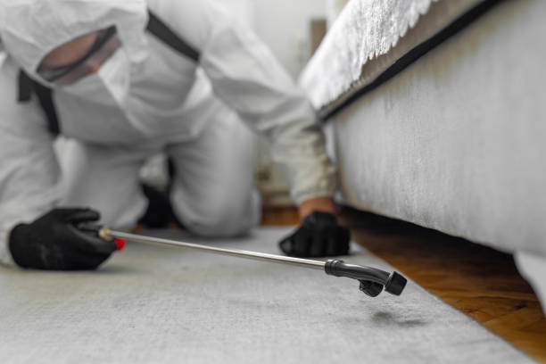 Professional Bed Bug Control technician working in Vernon Center, NJ