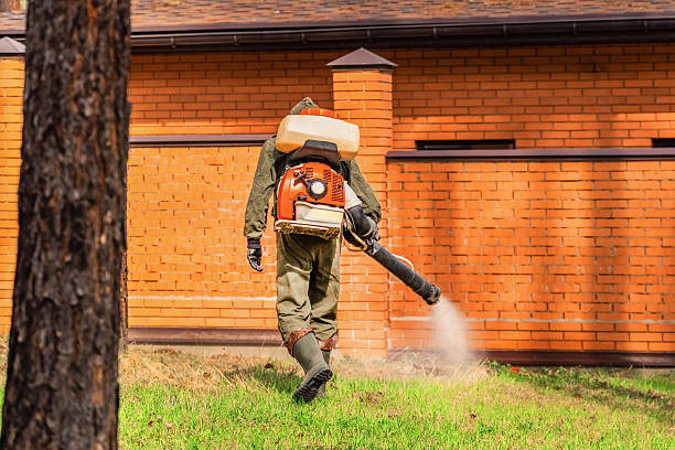 Trusted Termite Control service in Vernon Center, NJ - Nex Pest Control
